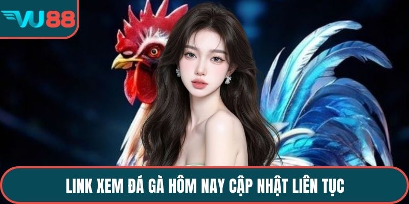 Link xem đá gà hôm nay cập nhật liên tục