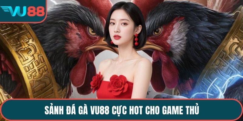  Sảnh đá gà VU88 cực hot cho game thủ