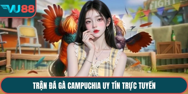 Trận đá gà Campuchia uy tín trực tuyến