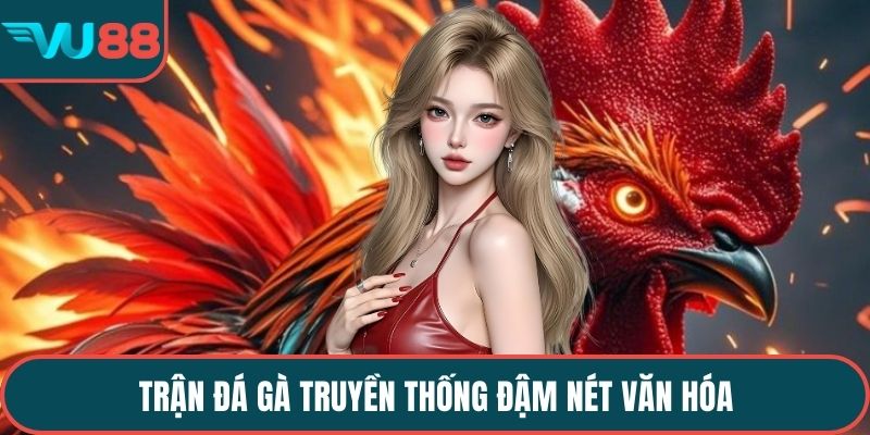 Trận đá gà truyền thống đậm nét văn hóa